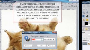 выделение умными ножницами в GIMP