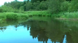 Река Москва от истока до устья.