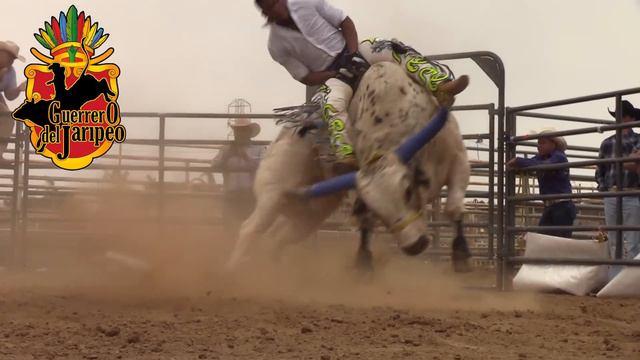 GANSITO DE NAYARIT VS. HARLEY DAVIDSON!!! смотреть онлайн