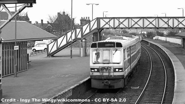 The Bouncing Tale of the Pacers смотреть онлайн