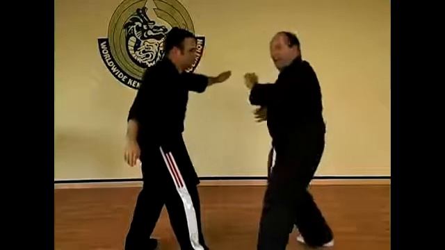 The Parting Wings Kenpo Karate Technique смотреть онлайн
