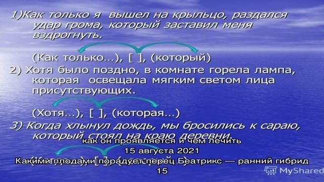 Выращивание арбузов от семечка до ягоды 20 кг смотреть онлайн