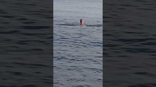 #Б.Утриш#анапа #сегодня #сейчас #кайфуем смотреть онлайн