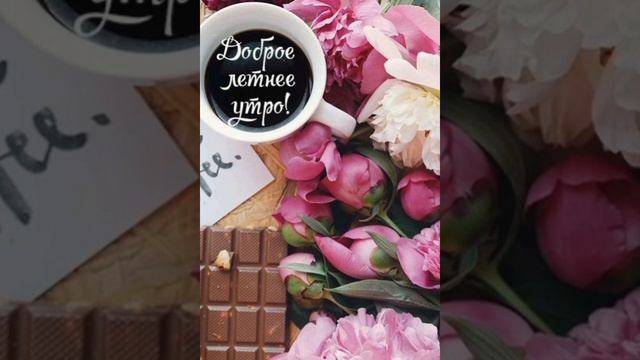 Доброе летнее утро смотреть онлайн