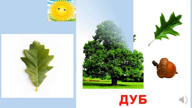 27 мая - Развитие речи "Весна в лесу" подготовительная группа Дружные ребята смотреть онлайн