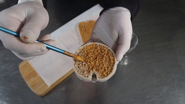 SALT DOUGH Breadslice And Rusk | Fake Faux Food Home Decoration Recipe