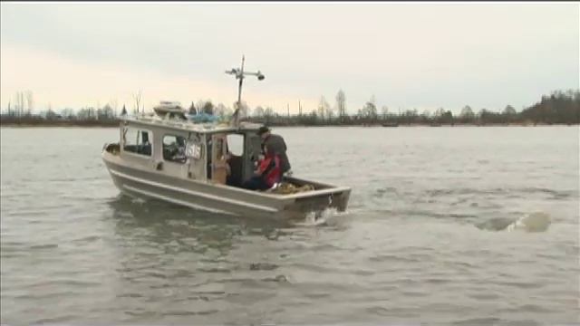 The Sustainable Region 2008 Ep 05 - Waterways смотреть онлайн