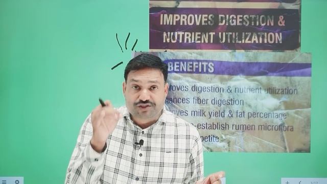 Yeast Powder for Cow ? Biovet yc Gold Powder uses in hindi смотреть онлайн