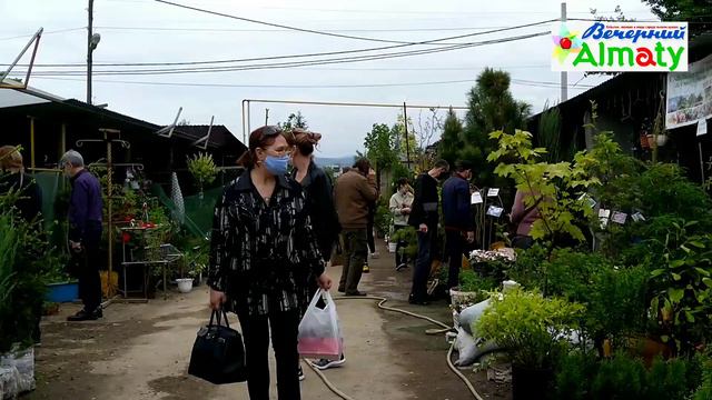 Как живет Алматы в условиях карантина смотреть онлайн