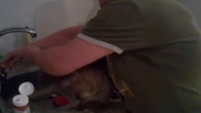 Бутерброд! смотреть онлайн