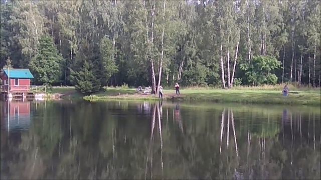 Утренние поимки осетра. Клёвое место, Лосиный остров, нижний водоём. смотреть онлайн