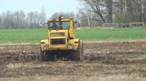 Советская мощь, трактор Кировец К-700А, работает с дискатором на полях СПК "Гигант"