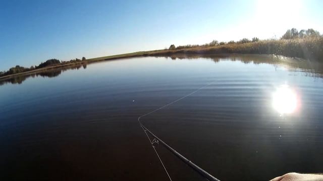 Щучий пруд боремся с сетями смотреть онлайн