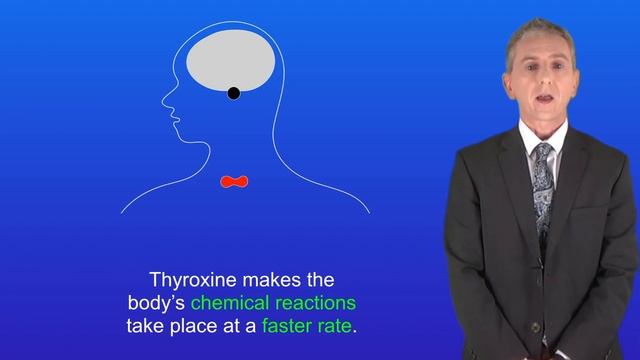 GCSE Biology Revision "Negative Feedback" смотреть онлайн
