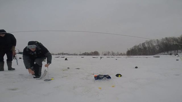 Лагуна Рыбалка (ПРиО Лагуна) 14.02.2017 смотреть онлайн