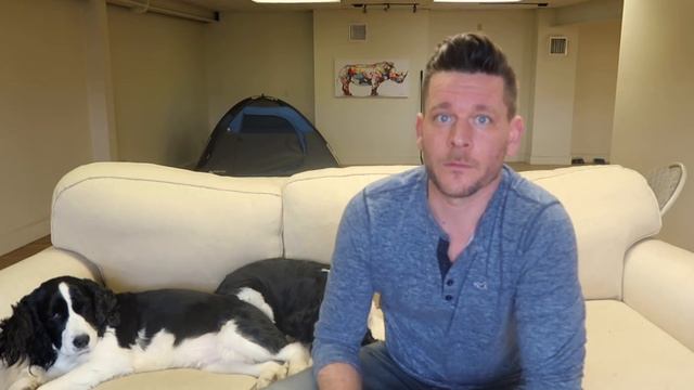 English Springer Spaniel Review смотреть онлайн