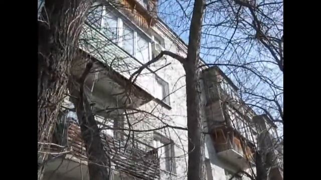 Смешные белки смотреть онлайн