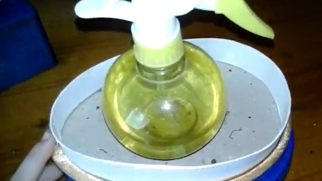 ЯЙЦА УЛИТОК АХАТИН ЧЕРЕЗ ТРИ НЕДЕЛИ!!! ЧТО ДЕЛАЮТ МОИ УЛИТКИ!!!! смотреть онлайн