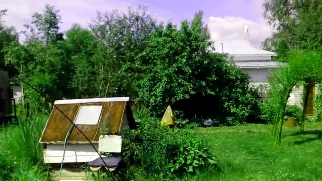 Беседка из ивы ,в восемь столбов paviva.ru смотреть онлайн