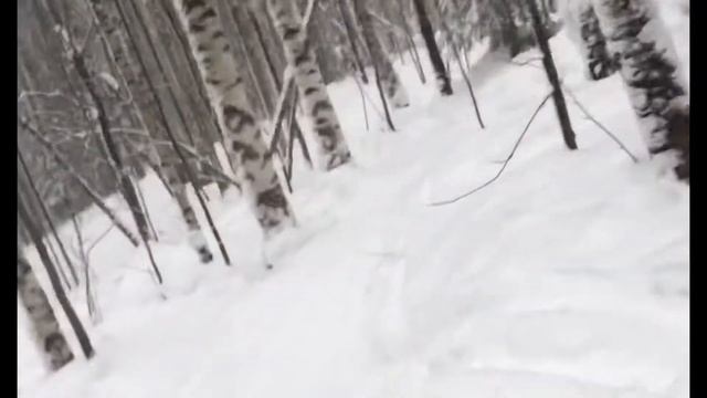 20 января 2020 г. смотреть онлайн