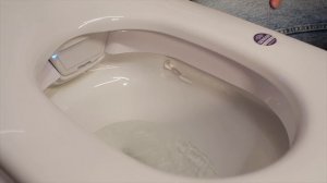 Китайский умный туалет за 70 000р. умнее японского?