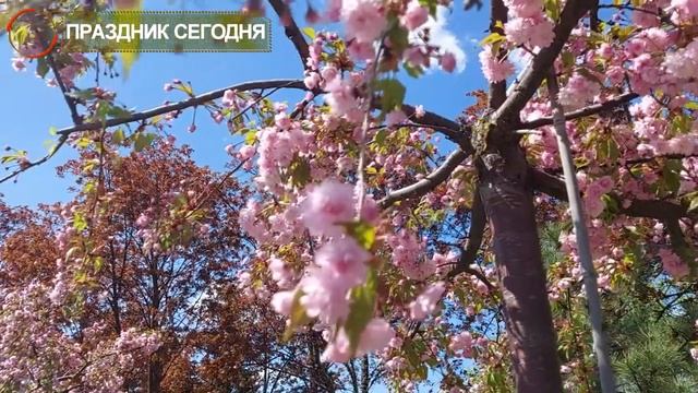 31 июля праздник. Емельян, Омельянов день, Омельяны. Что нельзя делать. Традиции и приметы смотреть онлайн