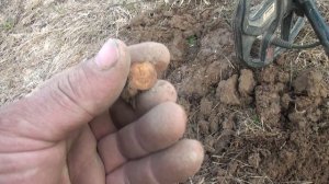 В старой деревне нашел овраг с удивительно крутыми и старыми находками.Коп старины с металоискателем