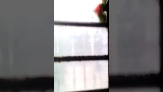 Oscar Tabares:este éxito es para anto bj,mi amiga del facee смотреть онлайн