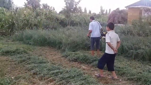 Дамашная косилка бензованная бугдой.шоли.йоринжа.говуш оради