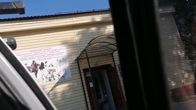 ГУЛЯЕМ /САМОЧУВСТВИЕ ДОЧИ/ГОТОВИМ НЕЖНУЮ ЗАПЕКАНКУ ? смотреть онлайн