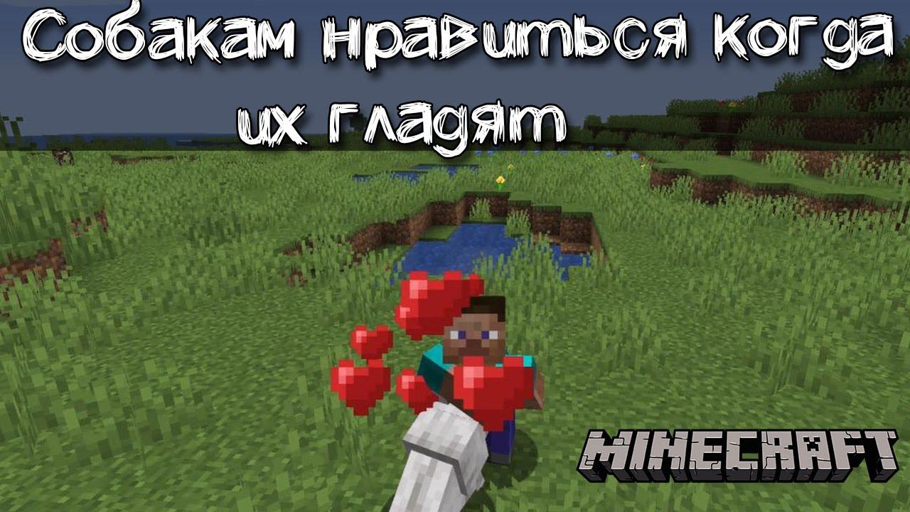 Сердечки когда гладишь собаку | Обзор мода на анимацию для собак Pet Your Wolf смотреть онлайн