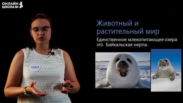 Байкал. Видеоурок 31.2. География 9 класс смотреть онлайн