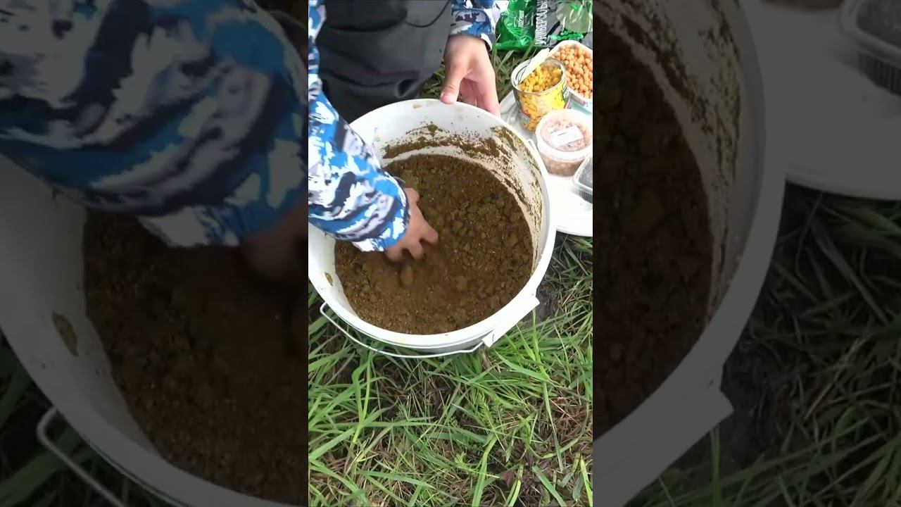 спиннинг вместо пикера #fishing #рыбалка #carpfishing #top #егоргришин #карп #viral #carp #рыбаки смотреть онлайн