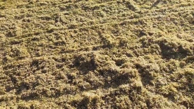 МОЯ ДАЧА .71 смотреть онлайн