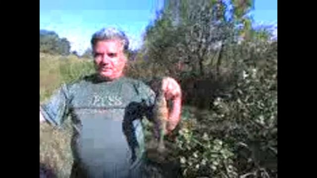 наш ответ язю ))) смотреть онлайн