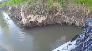 Рыбалка в Сузуне на протоке реки Обь.Или поиск зубатой красавицы