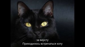 чёрный кот караоке