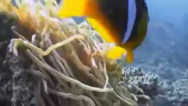 Любите природу, мать вашу! смотреть онлайн