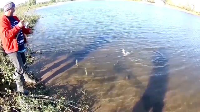 Астраханские Робинзоны 2018. Часть 4. смотреть онлайн