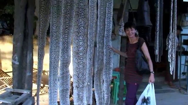 Шкуры питонов в Мандалае смотреть онлайн