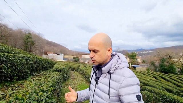 Лучшая цена на комплексе АК Чайный Берег. Апартаменты рядом с чайными плантациями. Дагомыс. смотреть онлайн