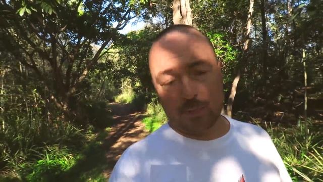 твоя иммиграция тест смотреть онлайн