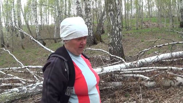 Сморчки Первая весенняя тихая охота смотреть онлайн