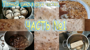 Полный цикл выращивания ежовика гребенчатого в двух частях. Часть №1