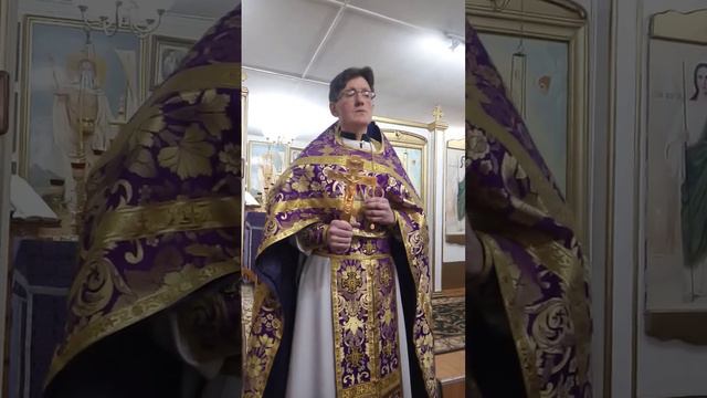 Протоиерей А. Кашицын 6.11.22.