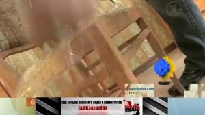 На mebforum.ru - ПОЛЕЗНОЕ ВИДЕО - Кошка и мебель.mp4