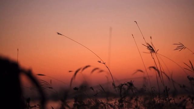 Безумно красивая музыка для наслаждения моментом. Музыка для медитации и сна. смотреть онлайн