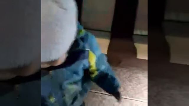 Crazy bus Astana смотреть онлайн