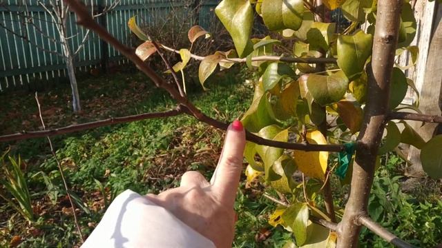 Строительный Дайджест