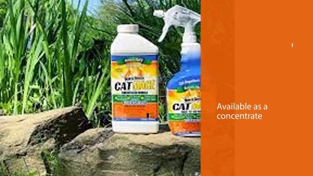 Top 6 Best Outdoor Cat Repellents Review for Yard/Garden [2023] - Motion Activated & Spray Repellen смотреть онлайн